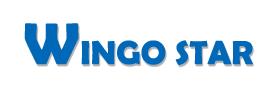 Тяньцзинь  Винго  Звезда  Технология  Компания с ограниченной ответственностью.